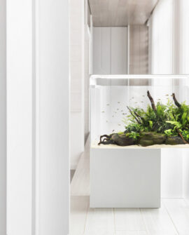 Journal Standard 04